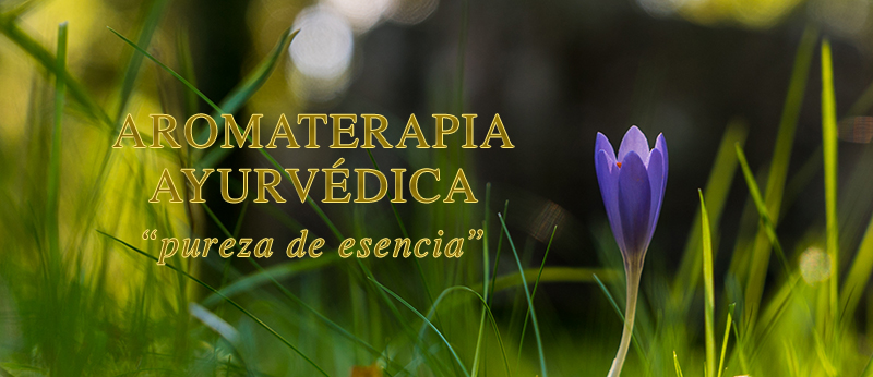 Aromaterapia de Ayurveda Maharishi: "Pureza de Esencia"