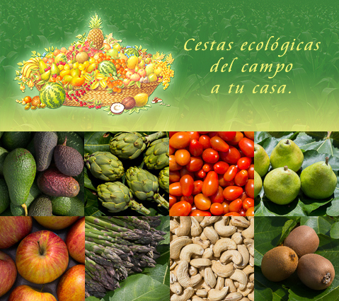 Verduras y frutas ecológicas del campo a tu casa en 24 horas.