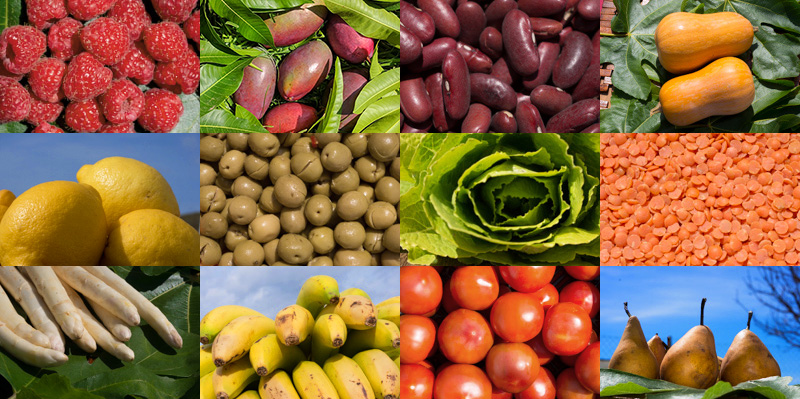 Como hacer pedidos de productos de productos ecológicos.