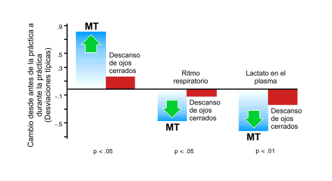 Investigación científica sobre la MT: indicadores de descanso profundo